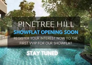 pinetree-hill-coming -soon