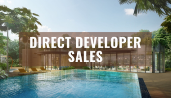 pinetree-hill-developer-sales